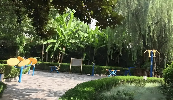 深圳应届毕业生积分入户办理_央视发文力挺，这一次杨幂让前夫刘恺威望尘莫及 的事其实情美国这个在做就是